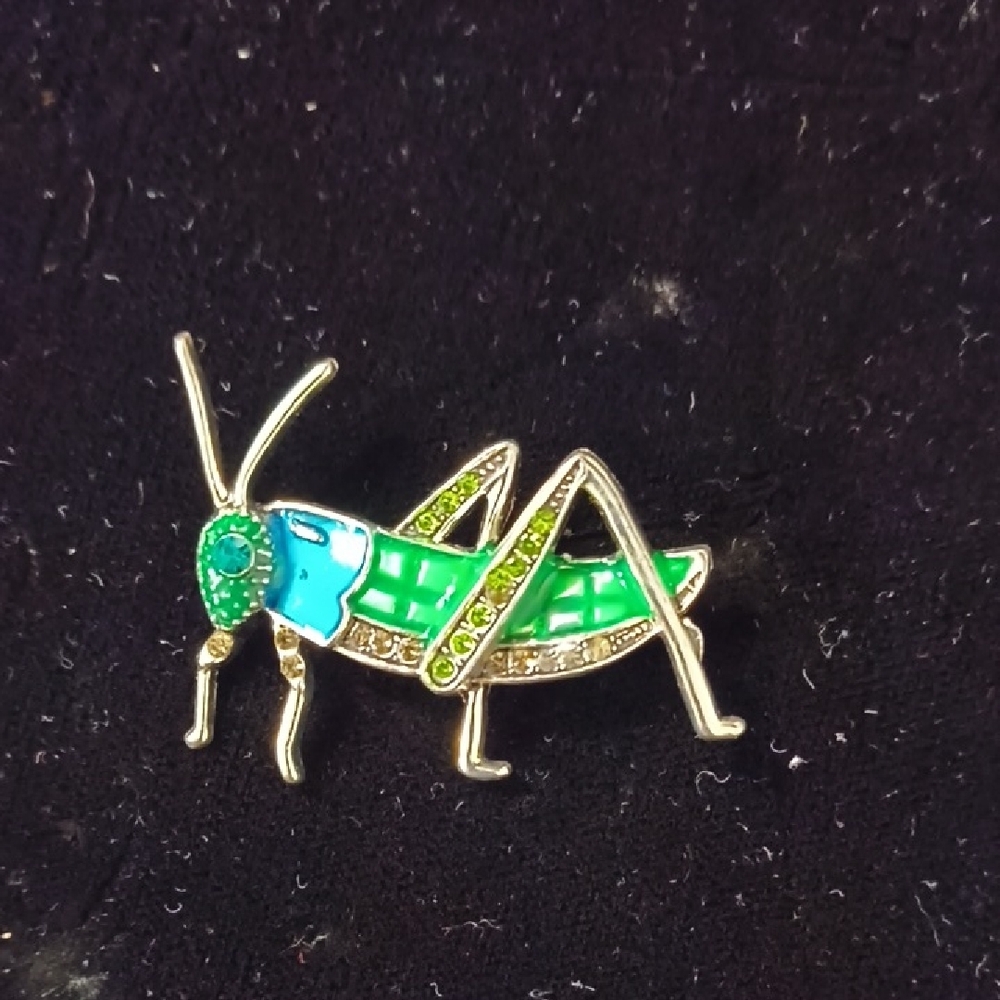 Grasshopper Brooch in Green and Blue